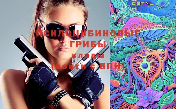 гидропоника Богородицк