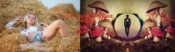 MDMA Premium VHQ Бронницы