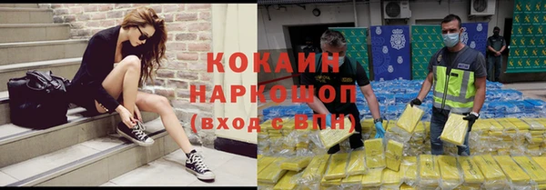 ГАЛЛЮЦИНОГЕННЫЕ ГРИБЫ Бородино
