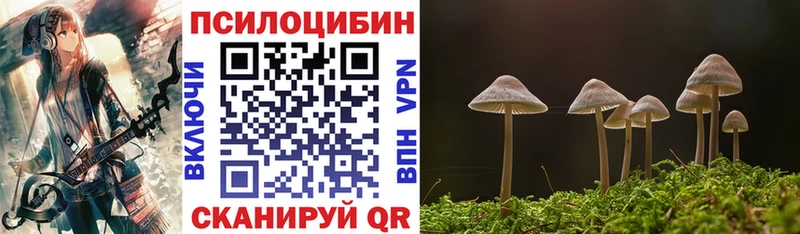 продажа наркотиков  Володарск  МЕГА зеркало  Псилоцибиновые грибы Psilocybe 